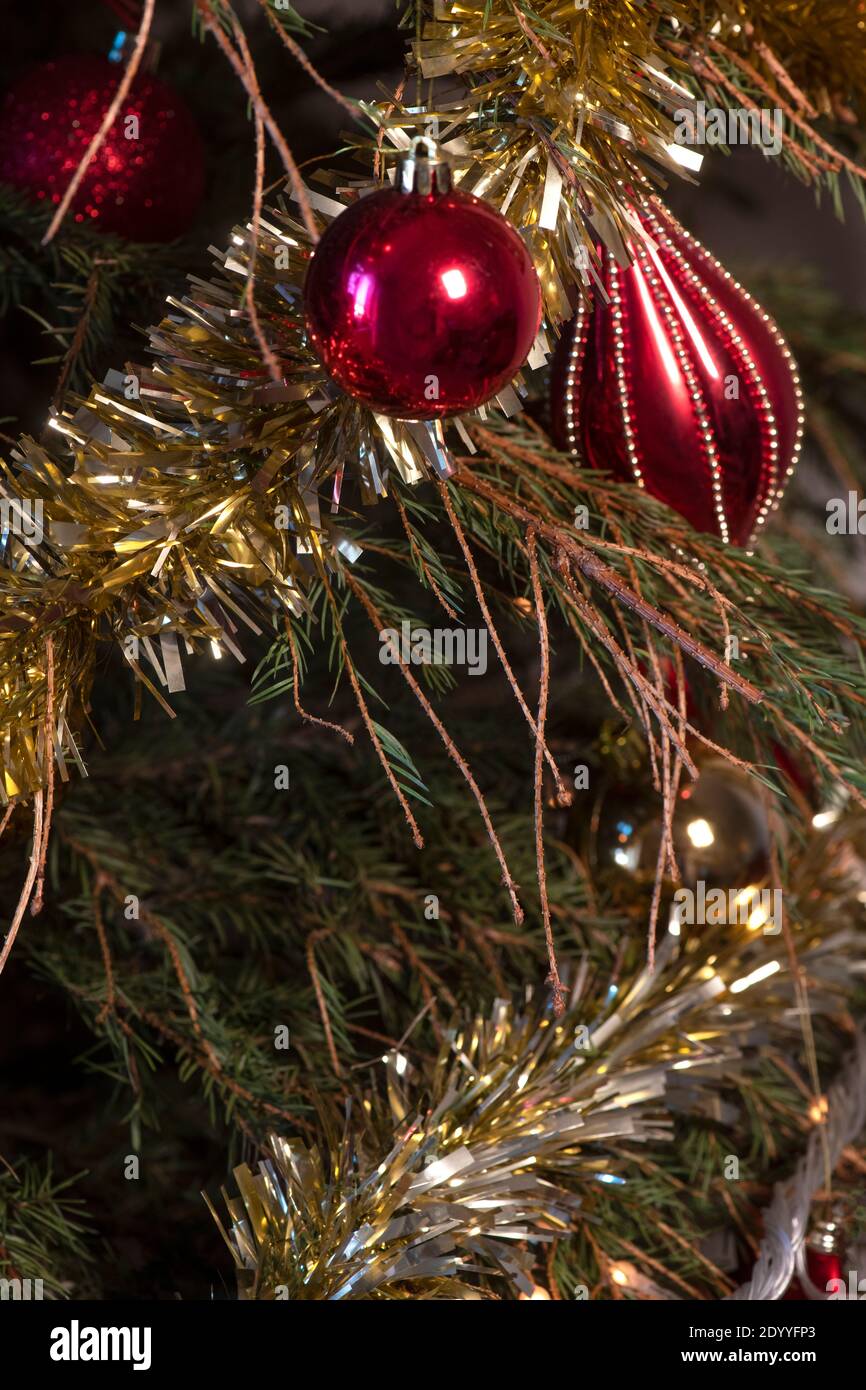 Fallen christmas tree hires stock photography and images Alamy