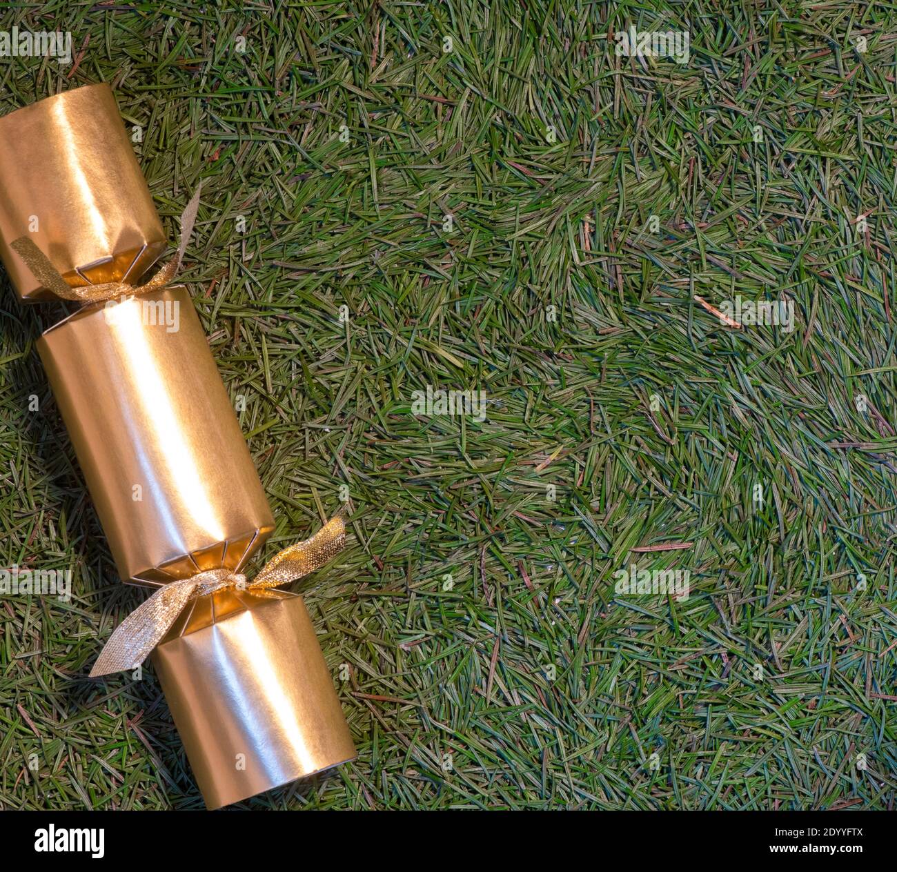 Christmas tree pine needles that have fallen from the branches and need