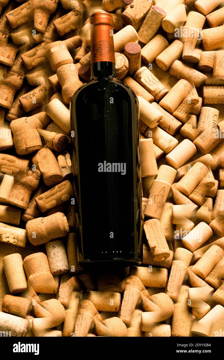 Bottle of red wine in horizontal position on corks Stock Photo