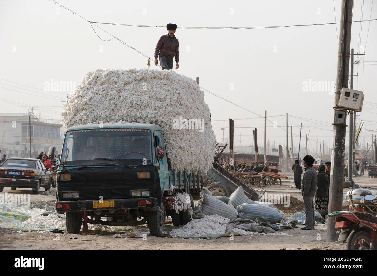 CHINA, province Xinjiang, uighur village Jin Erek near city Kashgar where uyghur people are living, loading of harvested cotton on truck / CHINA Provinz Xinjiang, Jin Erek ein uigurisches Dorf bei Stadt Kashgar, hier lebt das Turkvolk der Uiguren, Verladung von geernteter Baumwolle auf einen LKW Stock Photo