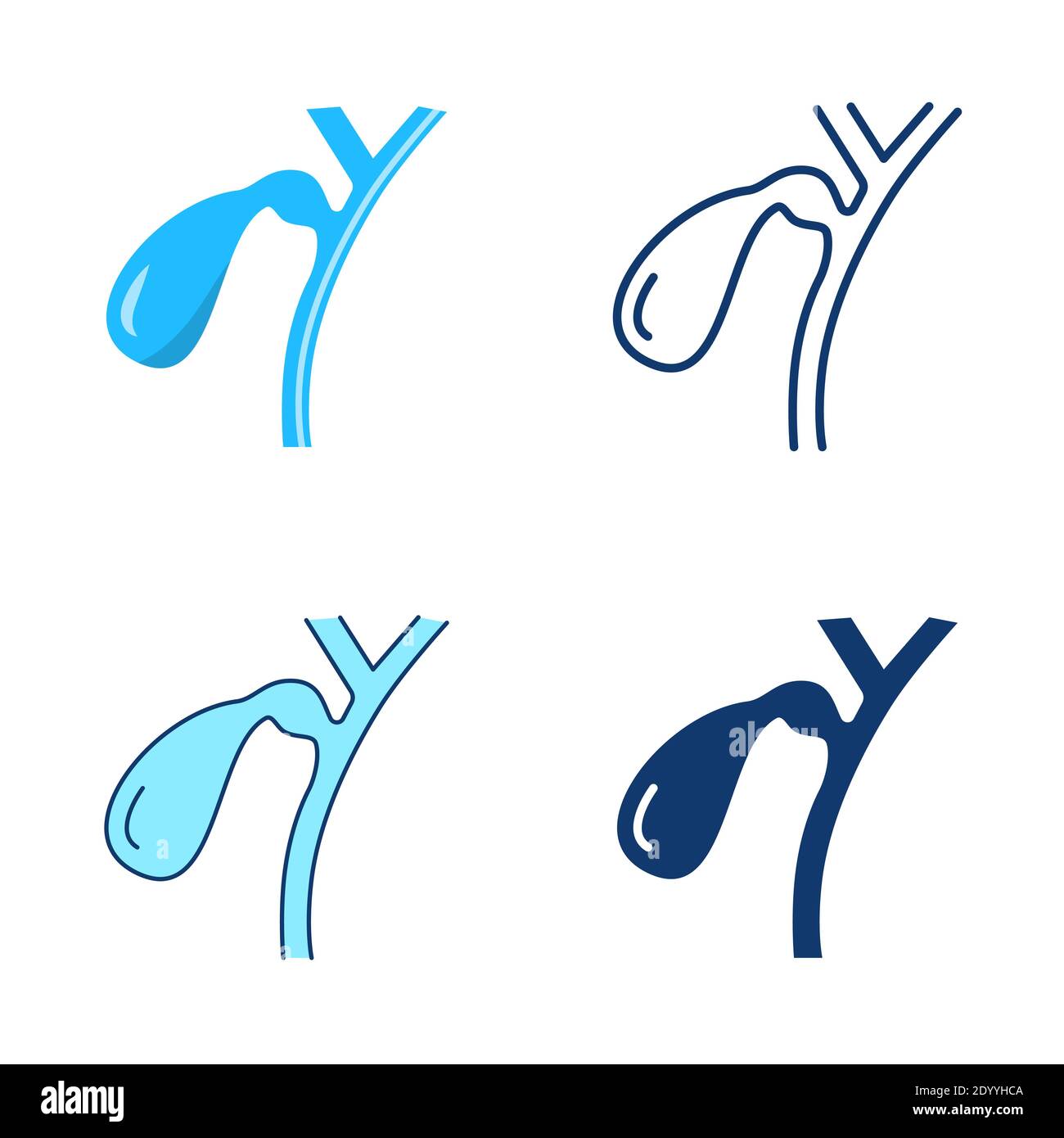 Cystic duct Stock Vector Images - Alamy