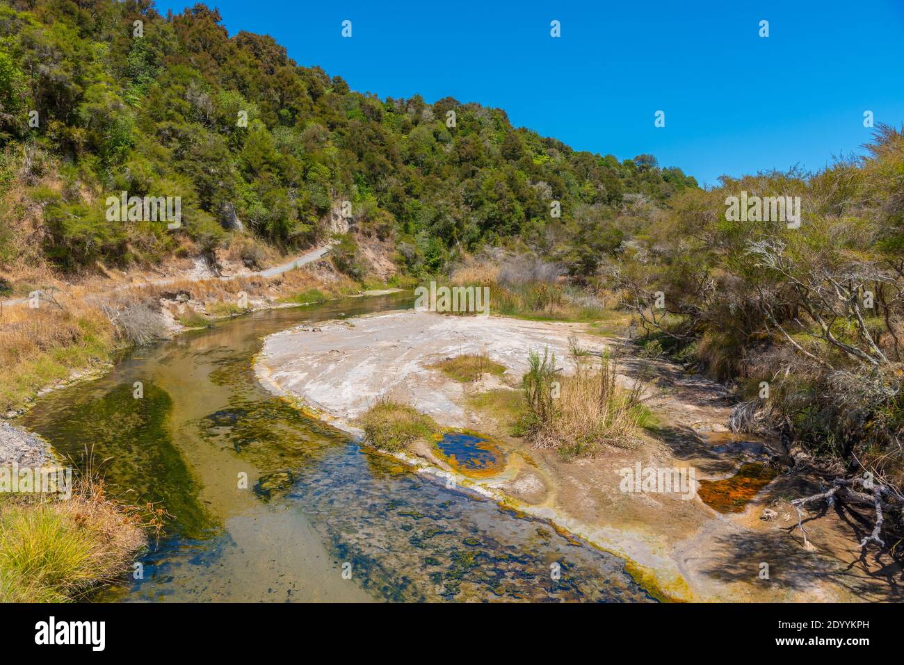 Hot river in waimangu valley hi-res stock photography and images - Alamy