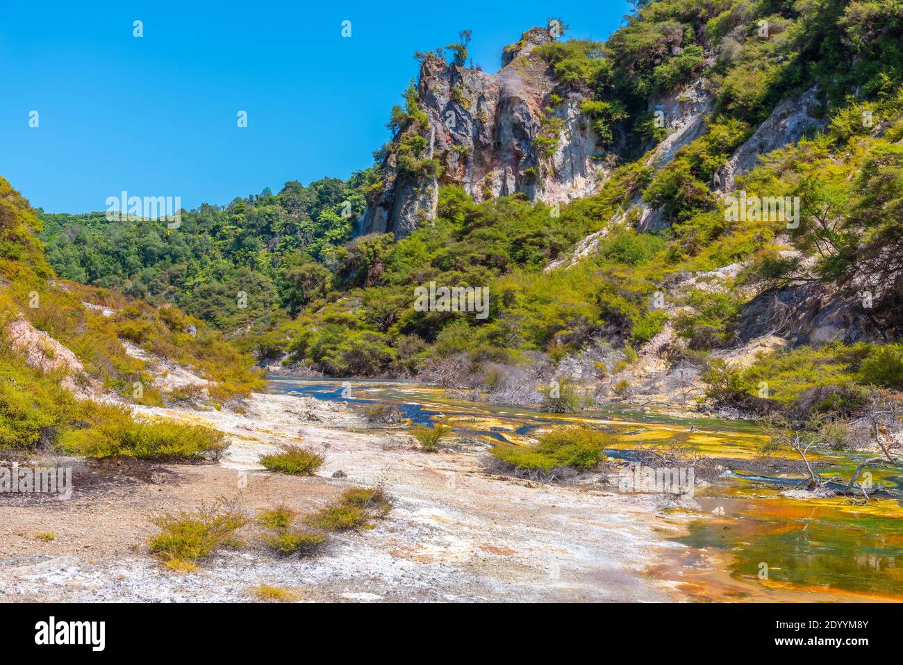 Hot river in waimangu valley hi-res stock photography and images - Alamy