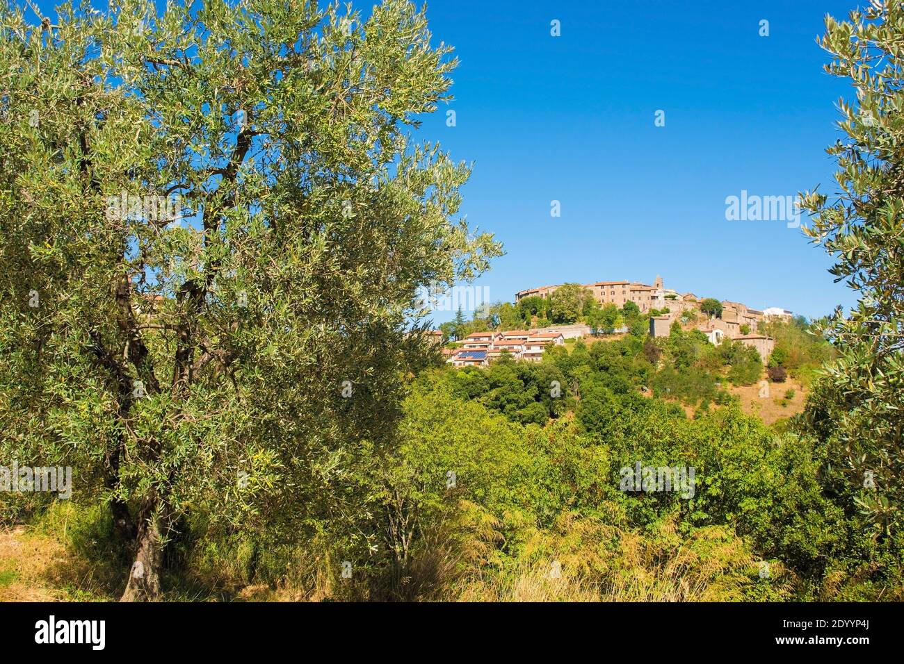 The late summer landscape around the historic hill village of Batignano ...