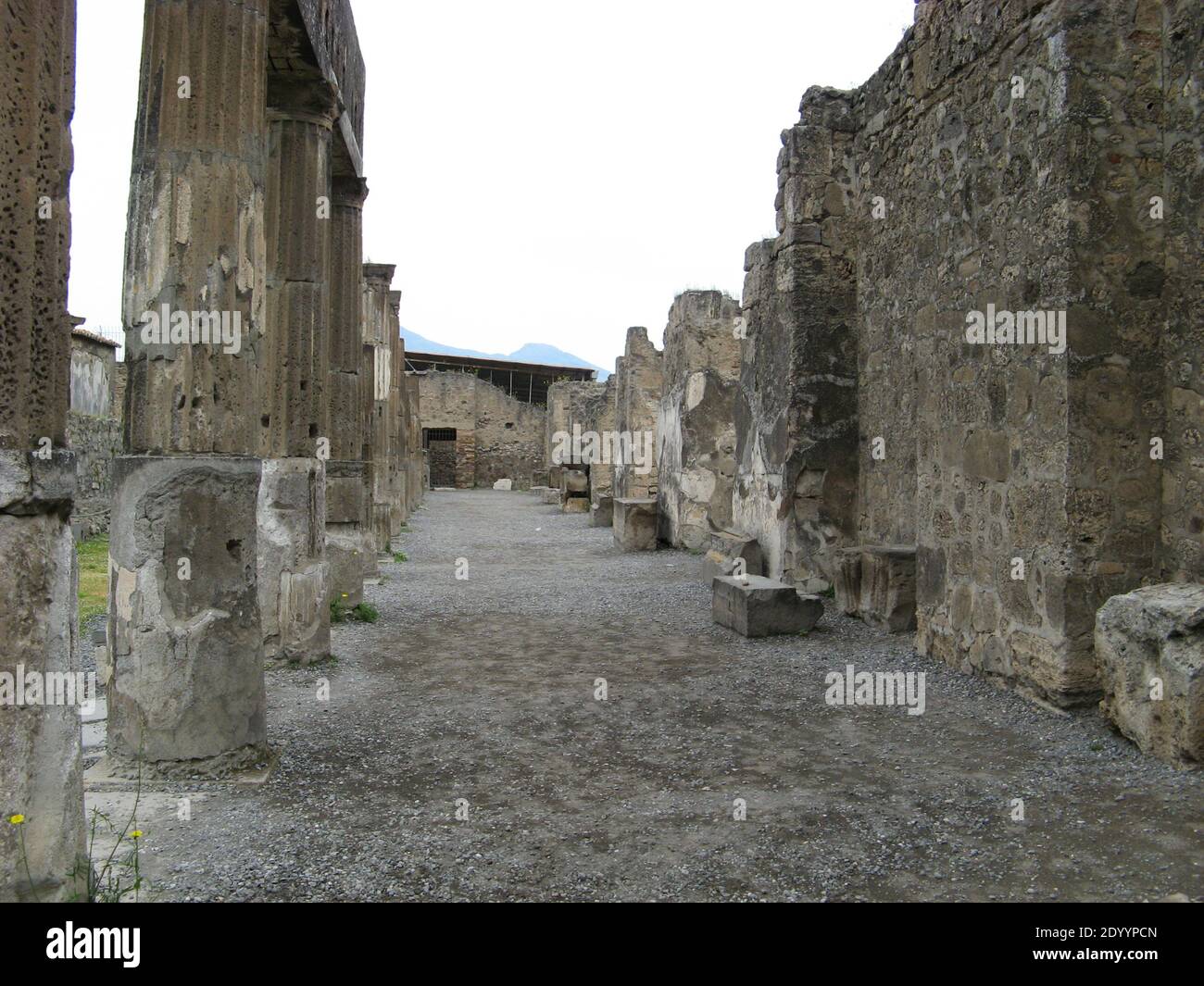 Columns around the Temple of Apollo ruins and excavations of Pompeii in