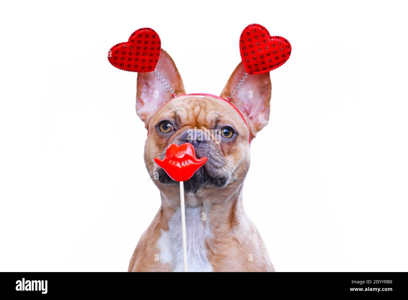 Red fawn French Bulldog dog wearing funny Valentine headband with