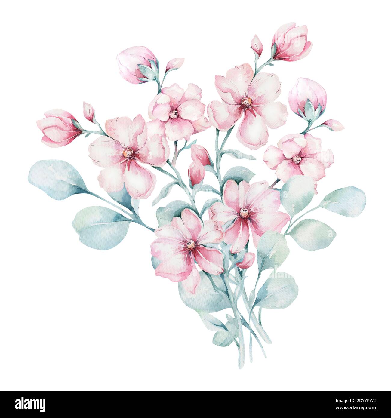 wreath of blossom pink cherry flowers in watercolor style with white ...