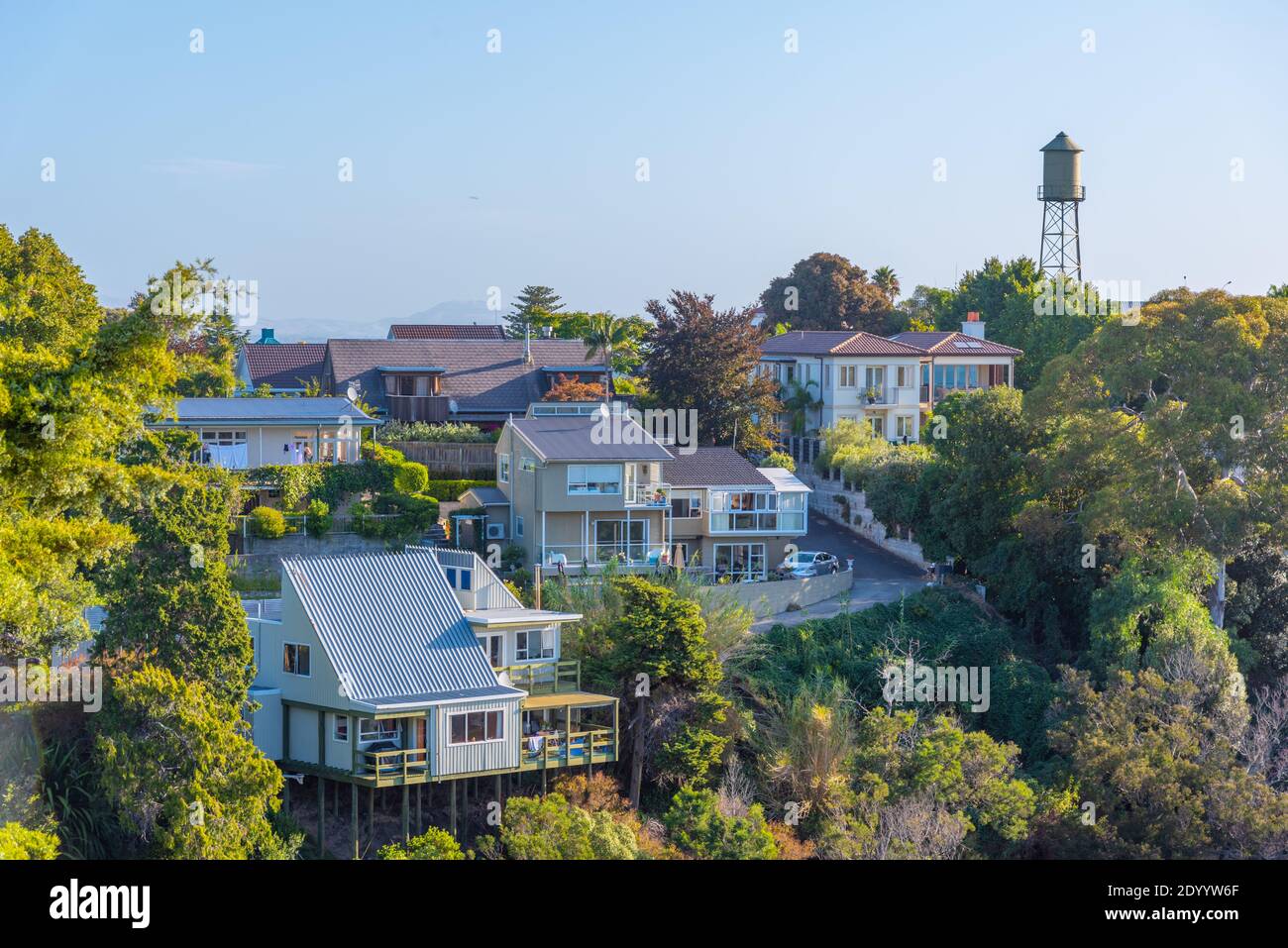 Residential houses on Bluff hill in Napier, New Zealand Stock Photo - Alamy