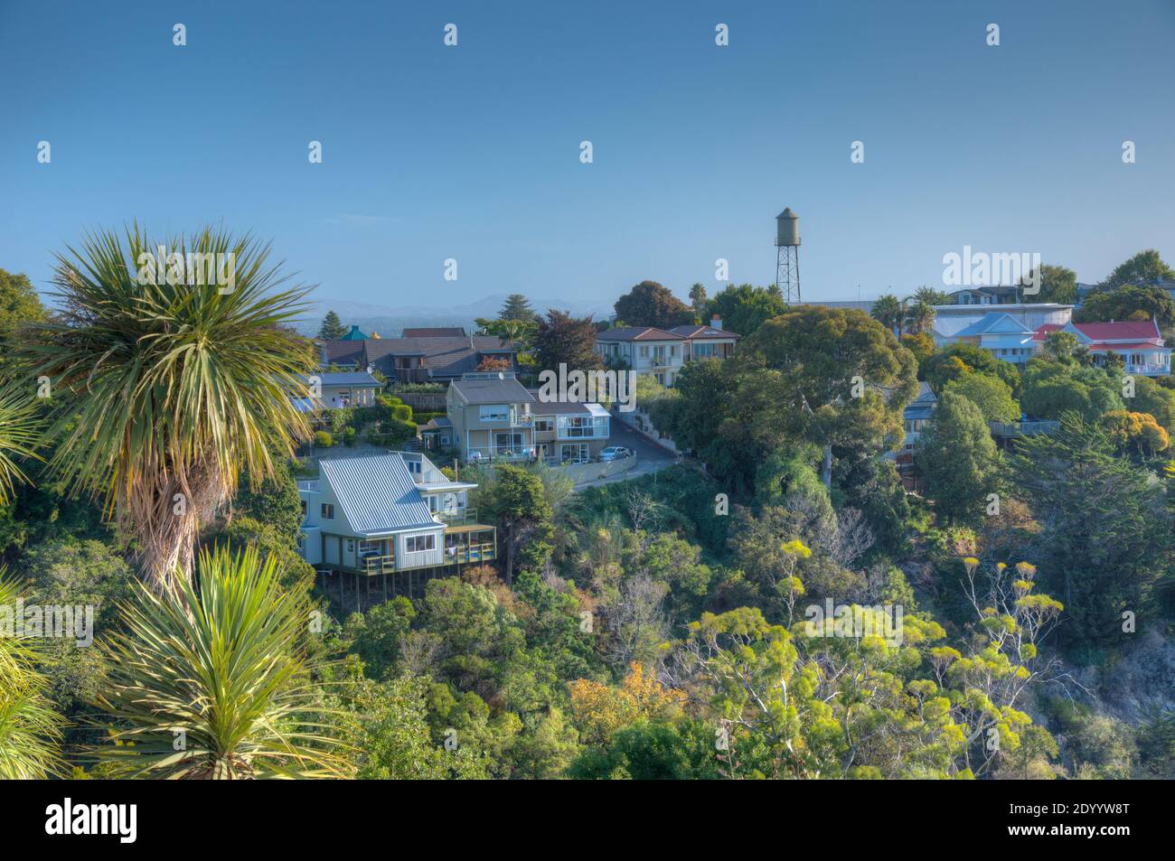 Residential houses on Bluff hill in Napier, New Zealand Stock Photo Alamy