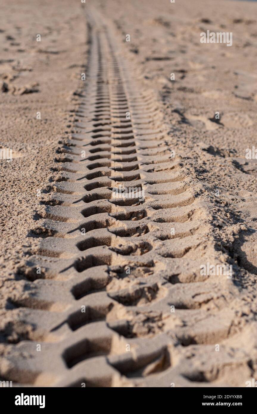 Tire marks on the sand Stock Photo Alamy
