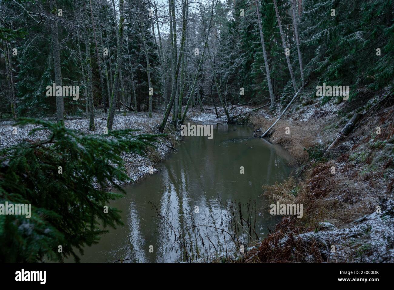 in winter the river in the forest with trees in the water that have fallen after high winds and in places white snow Stock Photo