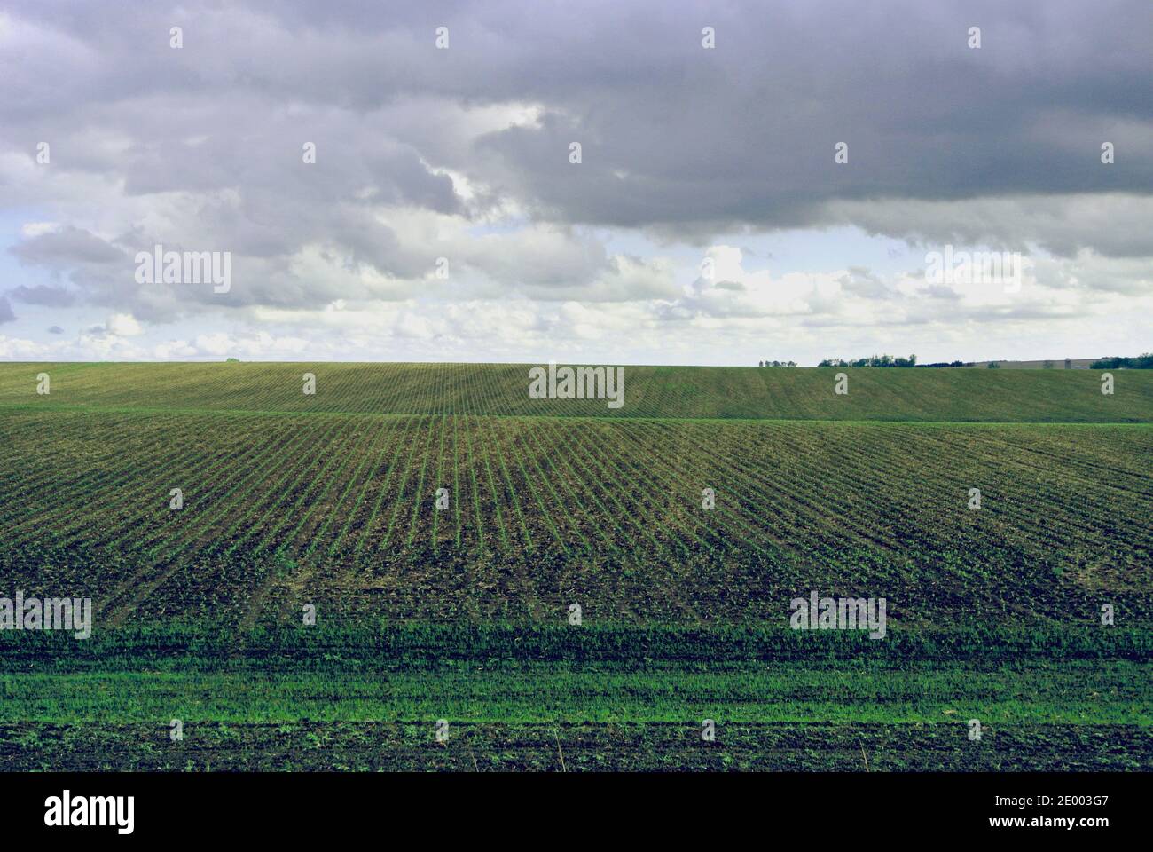 rural nebraska wheat grain corn plowed fields off i 80 in the heartland