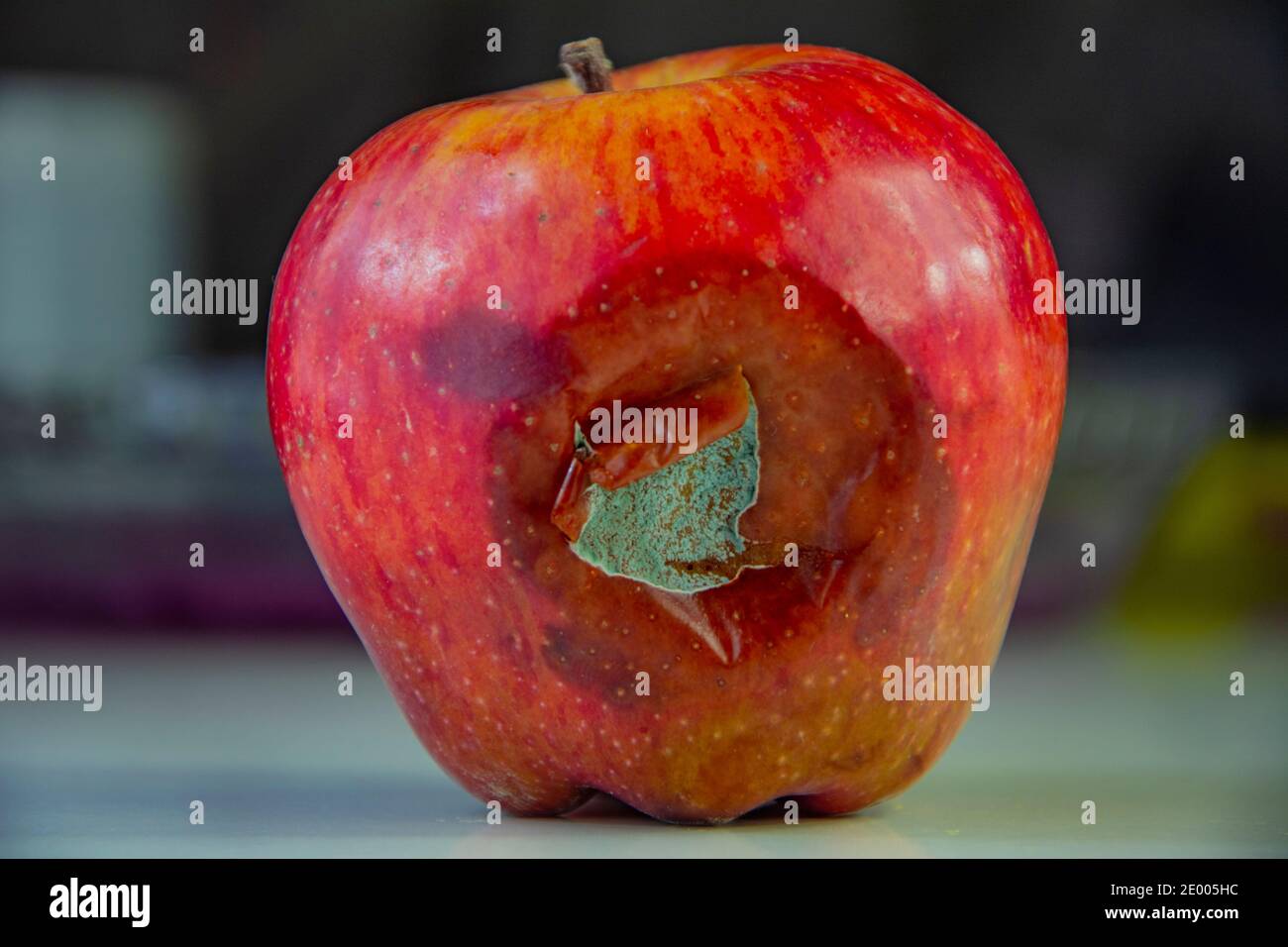 Premium PSD  One rustic old apple rotten apple closeup isolated on a  transparent background