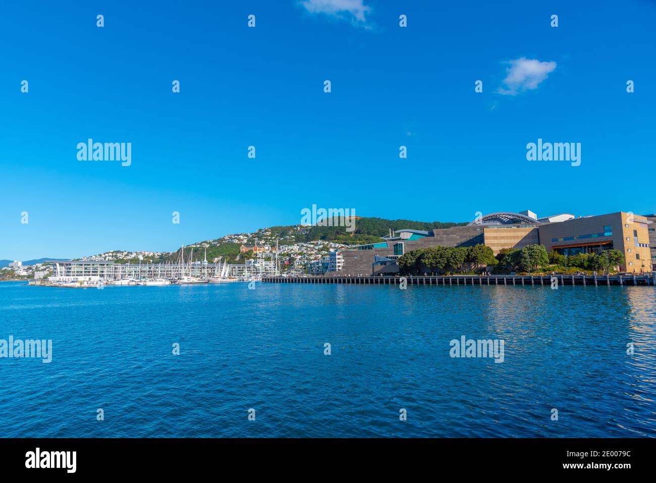 Te Papa museum and Marina in Wellington, New Zealand Stock Photo - Alamy