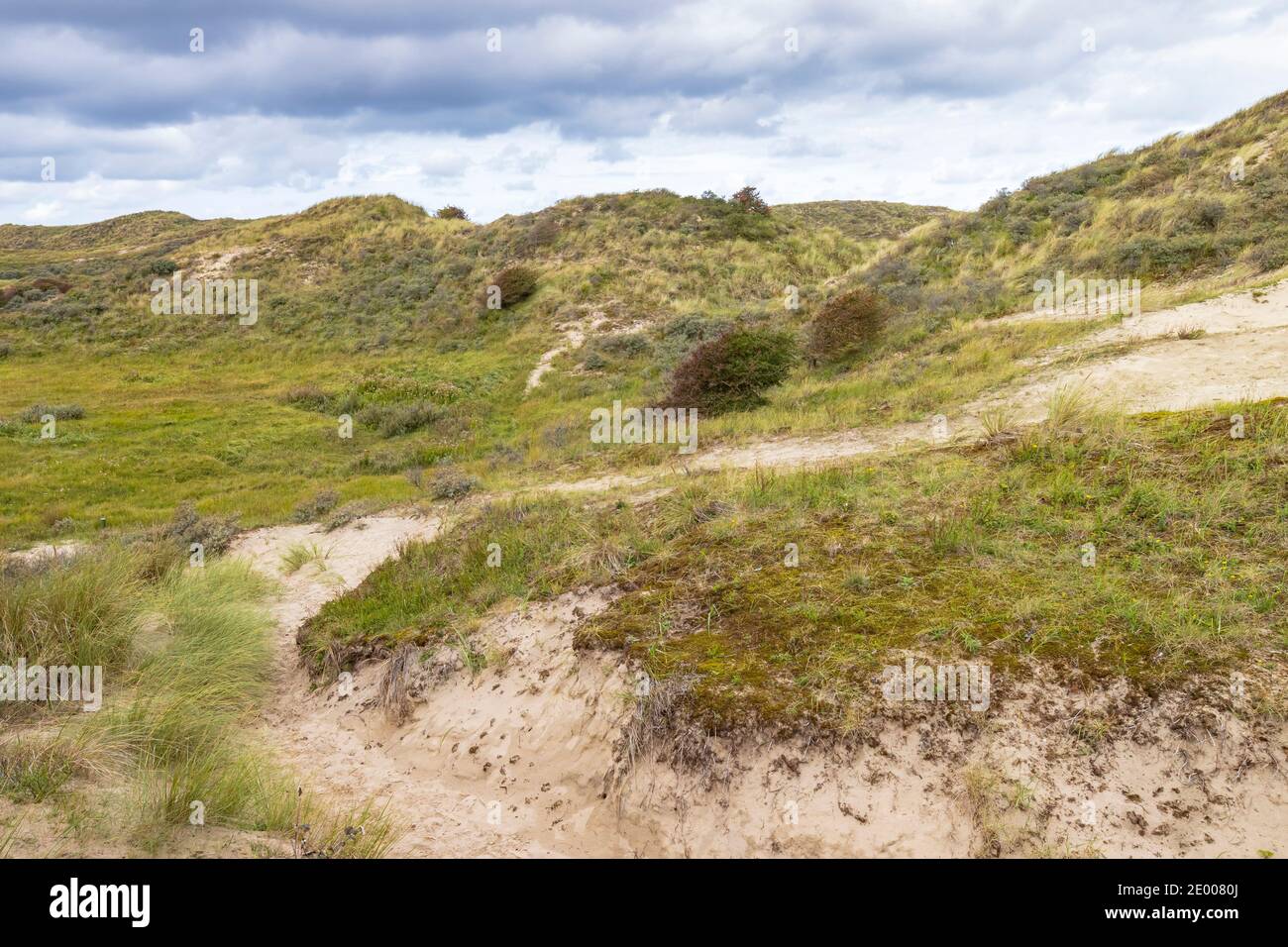 Landscape Nationaal Park Hollandse Duinen with dunes and wild nature under a clouded sky in Meijendel at the Dutch coast Stock Photo