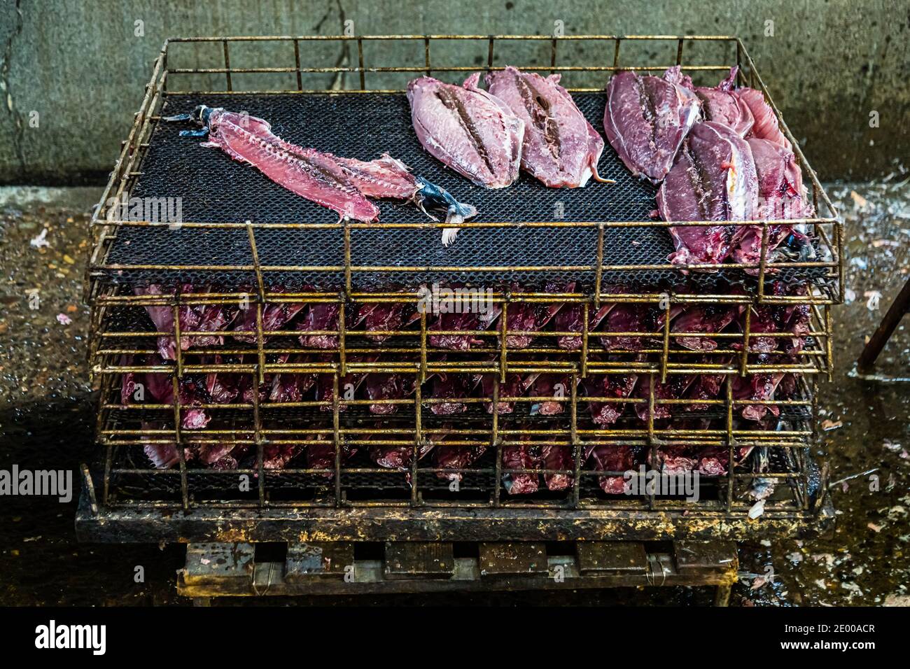 Yasuhisa Serizawa's Katsuobushi Manufacture in Nishiizu-Cho, Shizuoka, Japan Stock Photo