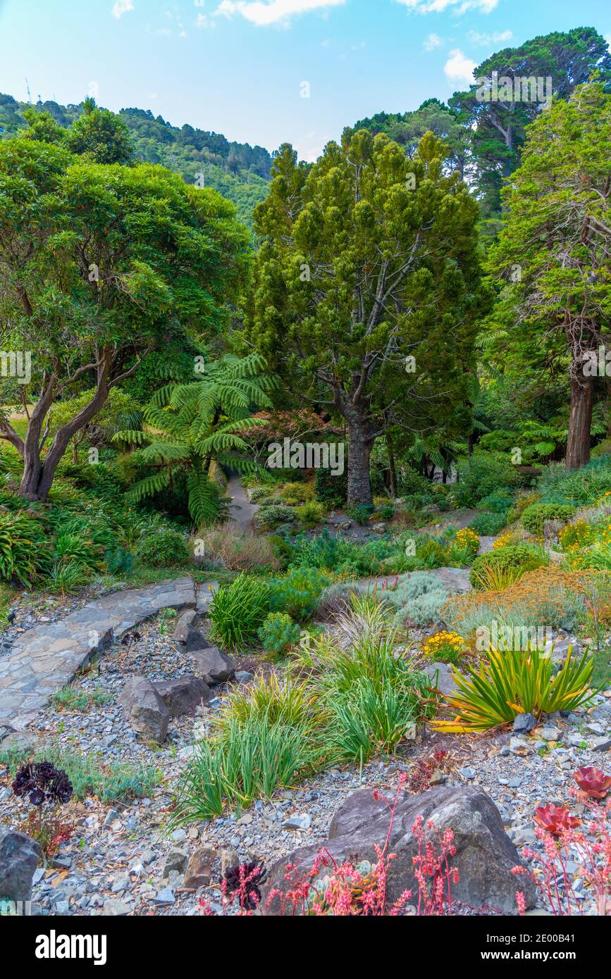 Colorful plants at Wellington Botanic garden in New Zealand Stock Photo ...