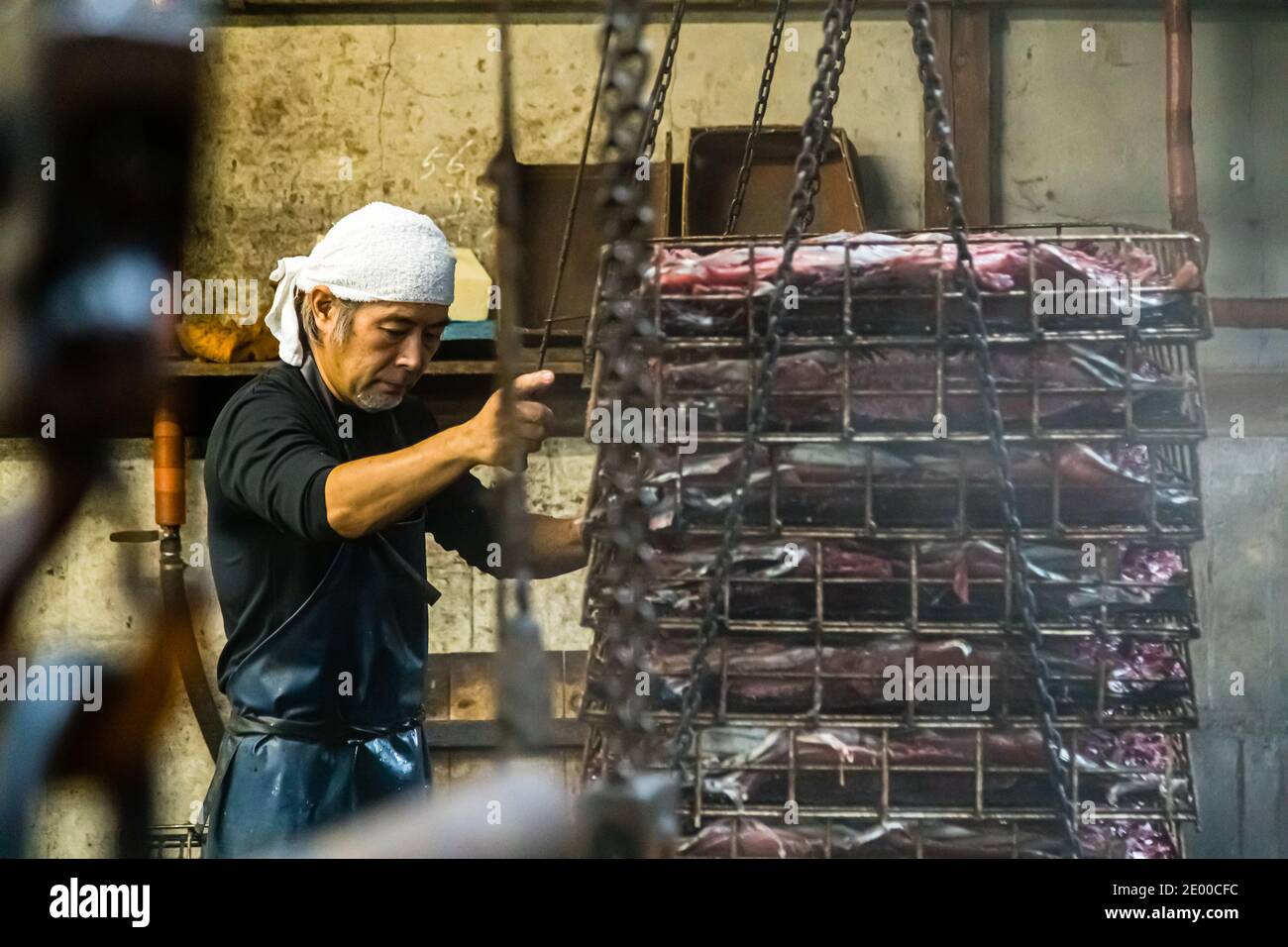 Yasuhisa Serizawa's Katsuobushi Manufacture in Nishiizu-Cho, Shizuoka, Japan Stock Photo