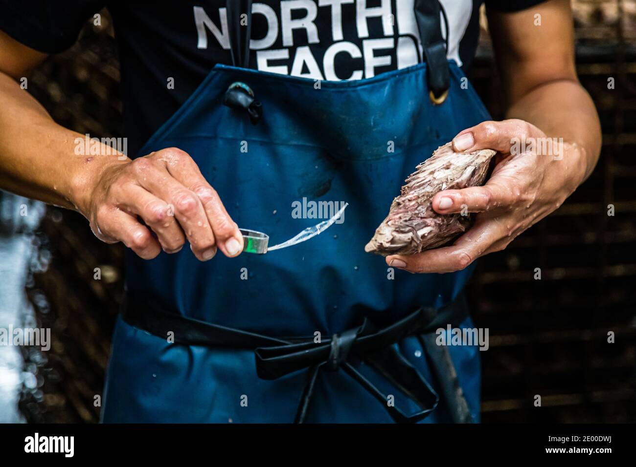 Yasuhisa Serizawa's Katsuobushi Manufacture in Nishiizu-Cho, Shizuoka, Japan Stock Photo