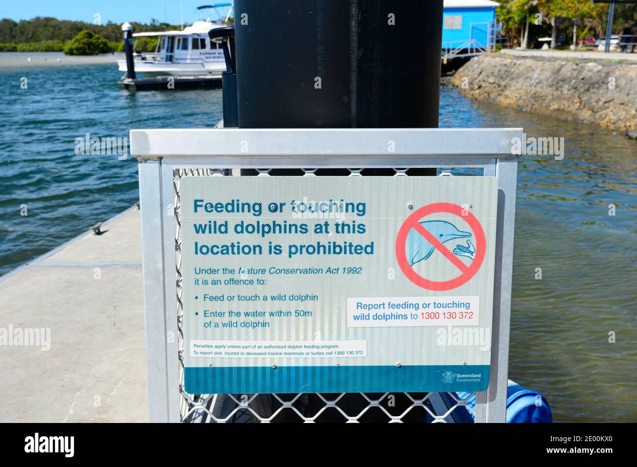 Sign warning not to feed the dolphins at Rainbow Beach, Queensland, QLD, Australia Stock Photo