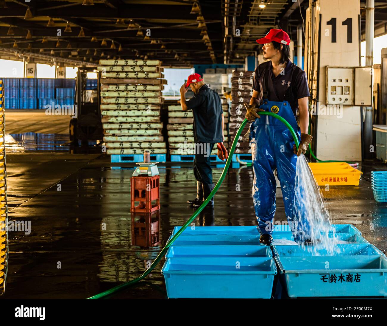 Fish Auction in Yaidu, Japan Stock Photo Alamy