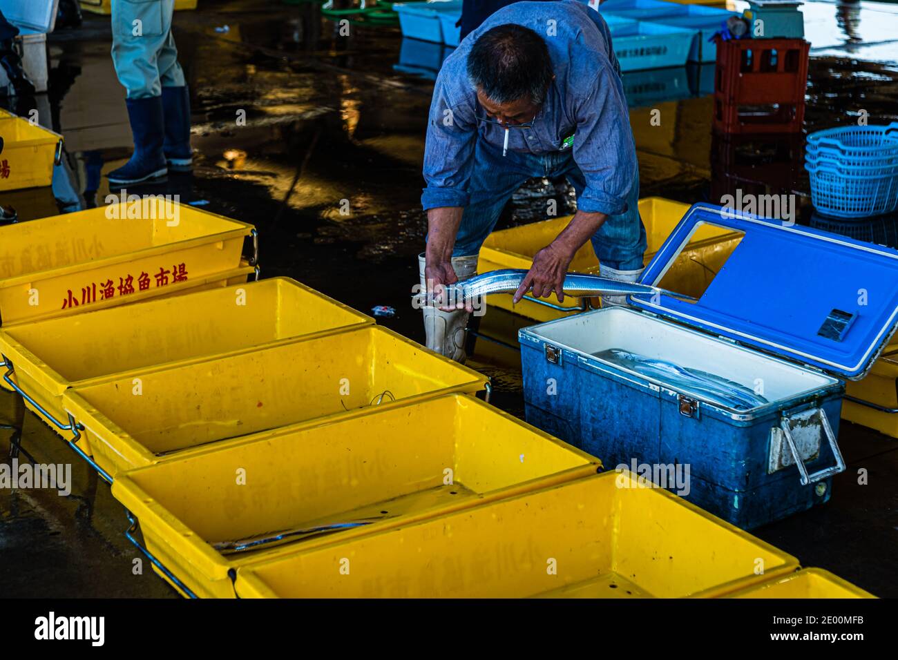 Fish Auction in Yaidu, Japan Stock Photo Alamy