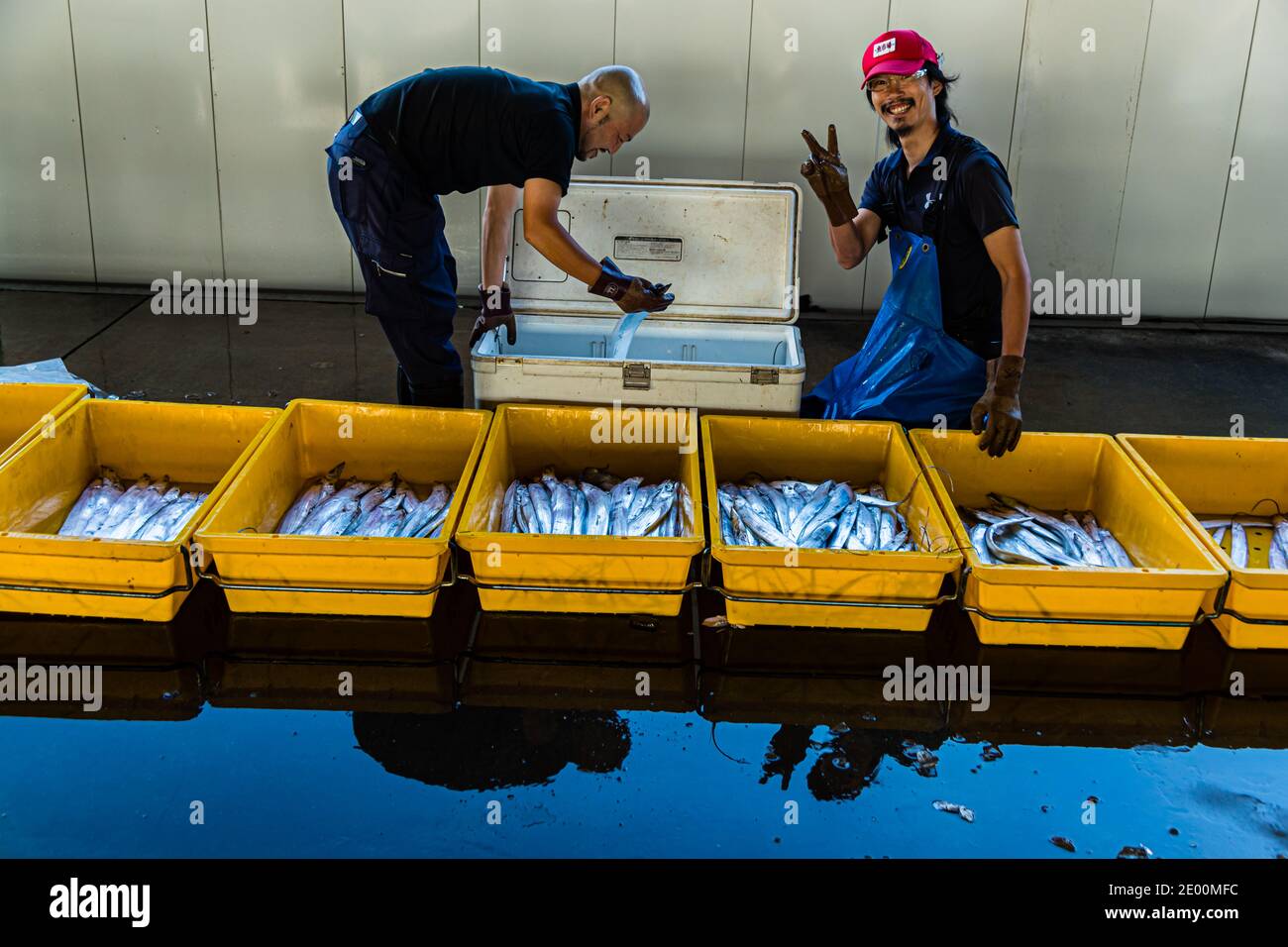 Fish Auction in Yaidu, Japan Stock Photo Alamy