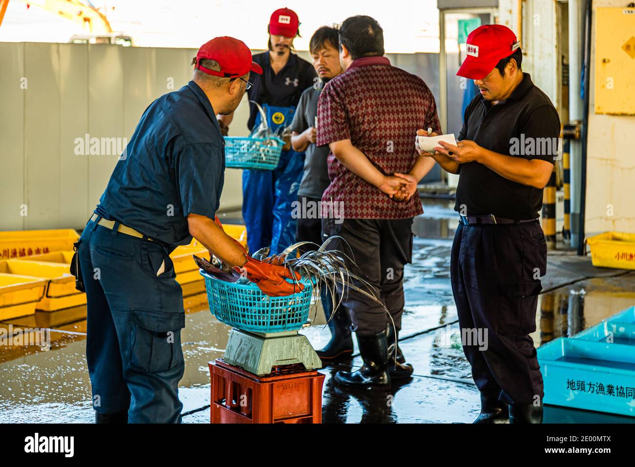 Fish Auction in Yaidu, Japan Stock Photo Alamy