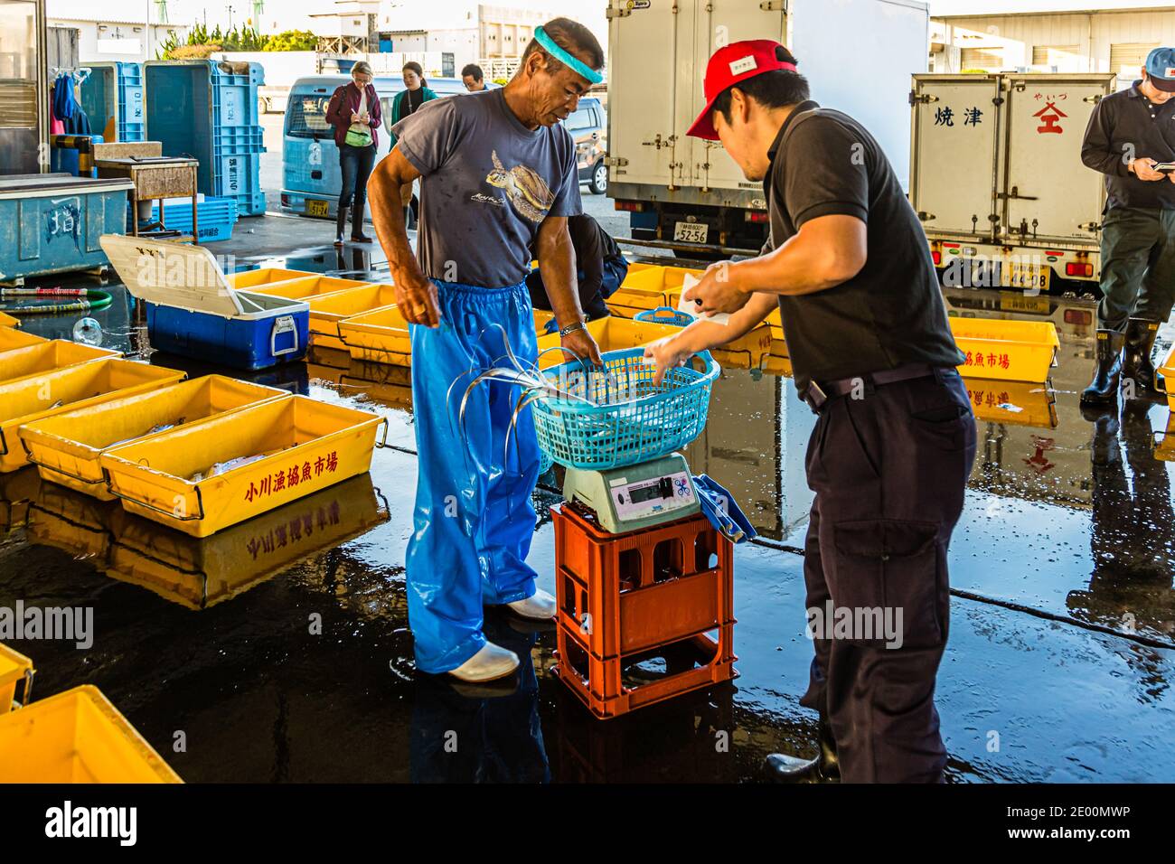 Fish Auction in Yaidu, Japan Stock Photo Alamy