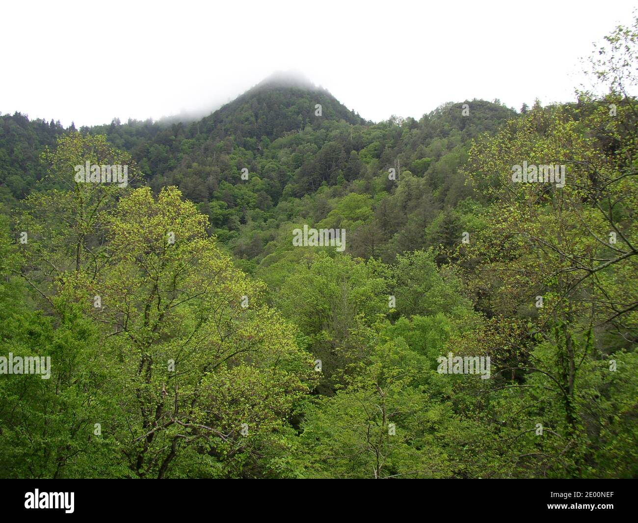 Great Smoky Mountains National Park, Tennessee Stock Photo - Alamy