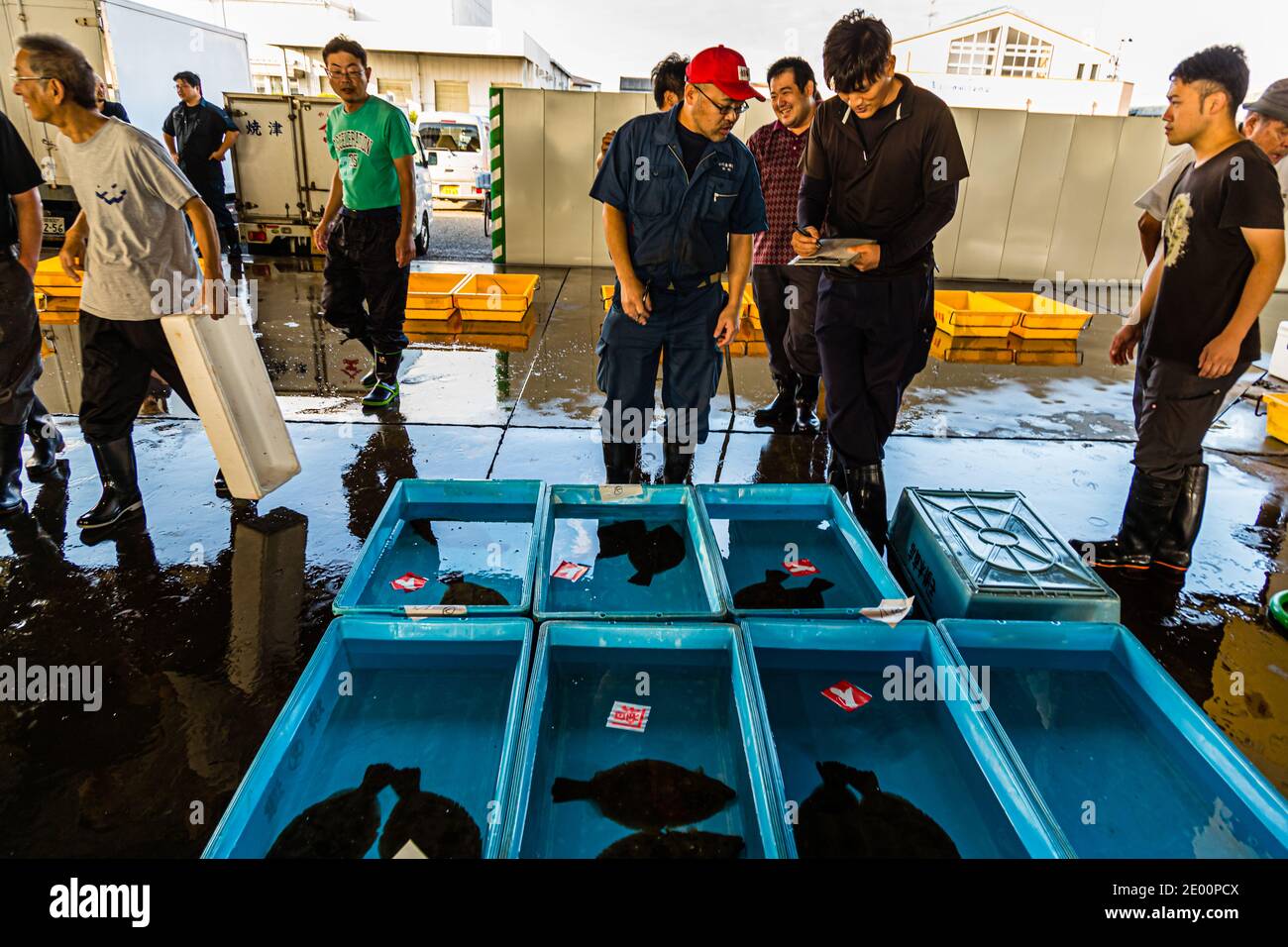 Fish Auction in Yaidu, Japan Stock Photo Alamy