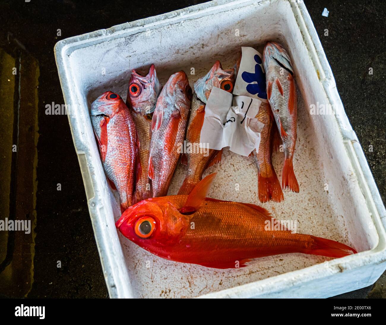 Kinmedai (golden eye snapper) on Fish Auction in Yaidu, Japan Stock Photo