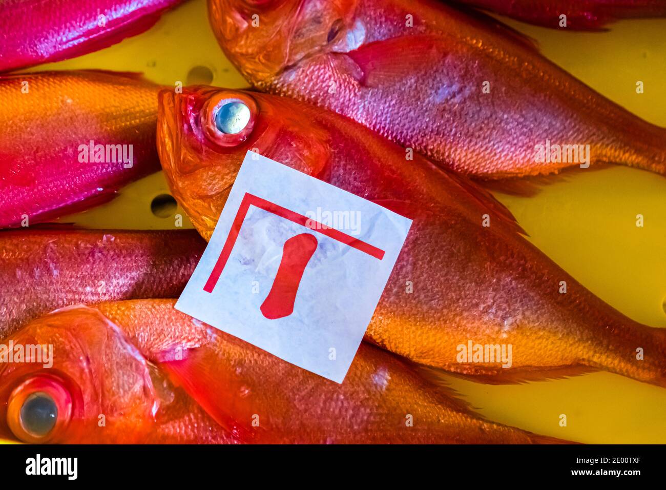 Kinmedai (golden eye snapper) on Fish Auction in Yaidu, Japan Stock Photo