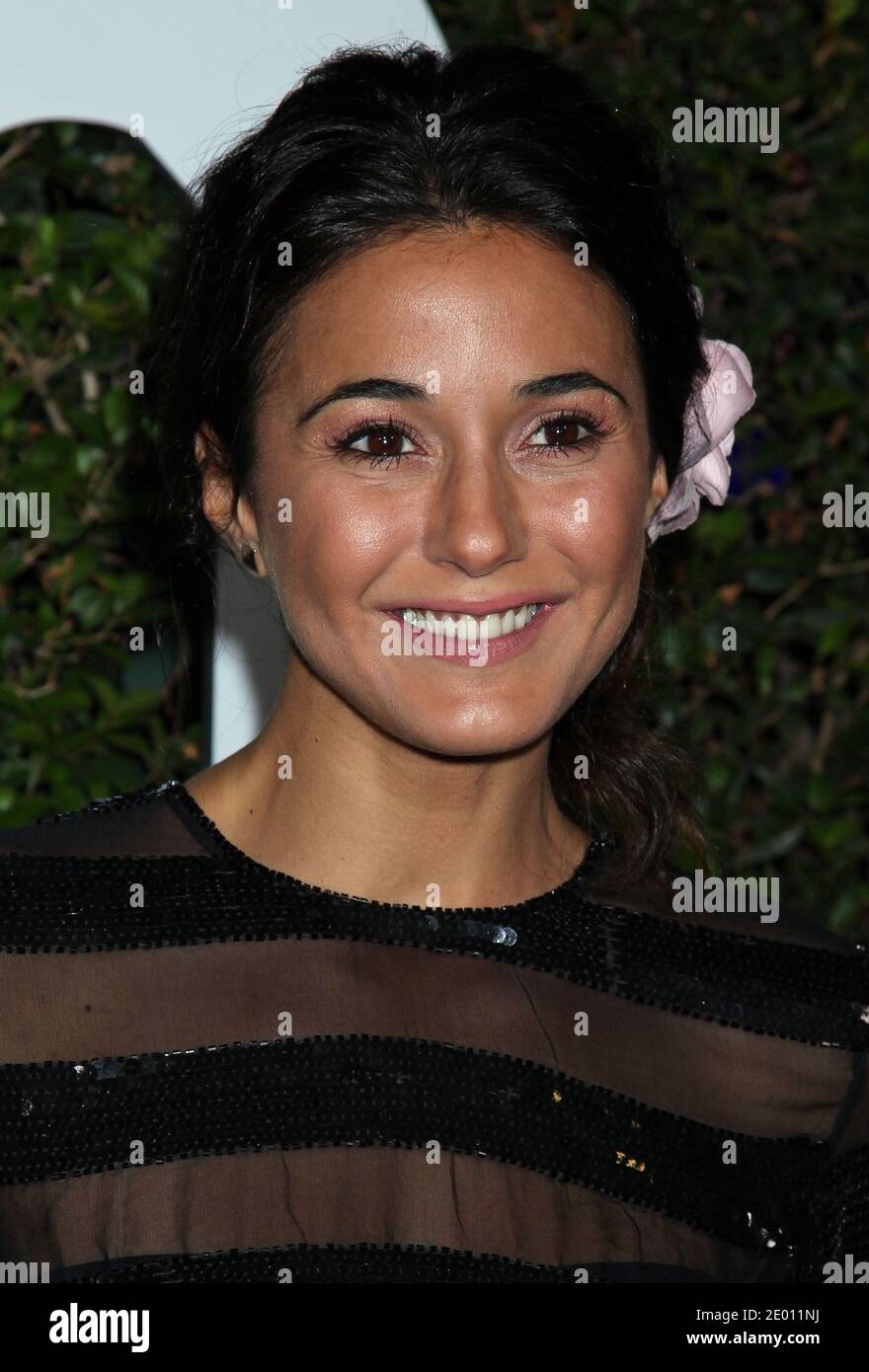 Emmanuelle Chriqui at The Weinstein Company's Los Angeles Premiere for