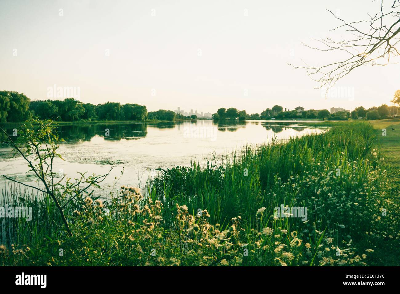 View of the Detroit from Belle Isle in the Summer. Stock Photo