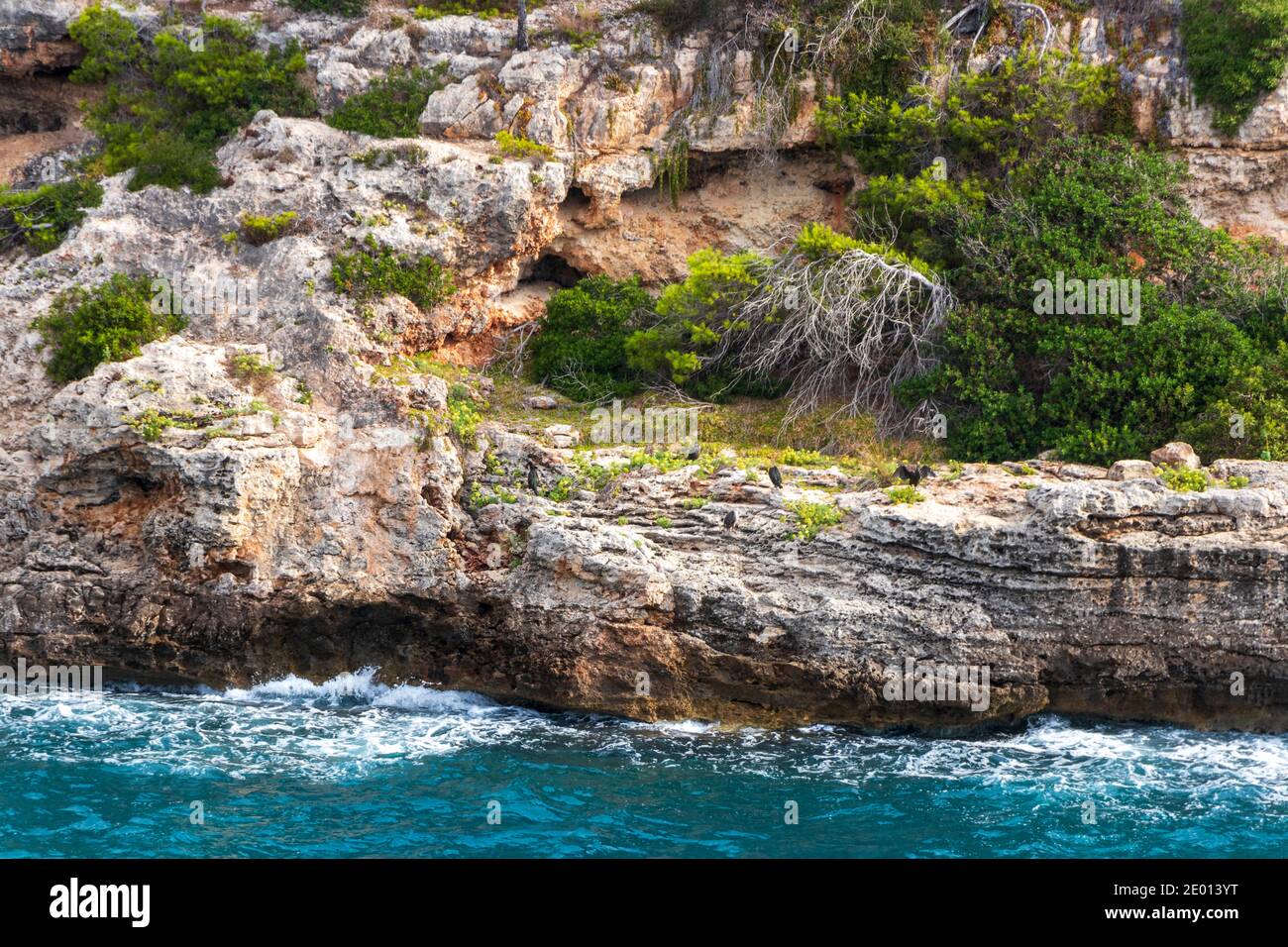 Bay rocks and turquoise water of Cala Figuera in Santanyí Mallorca ...