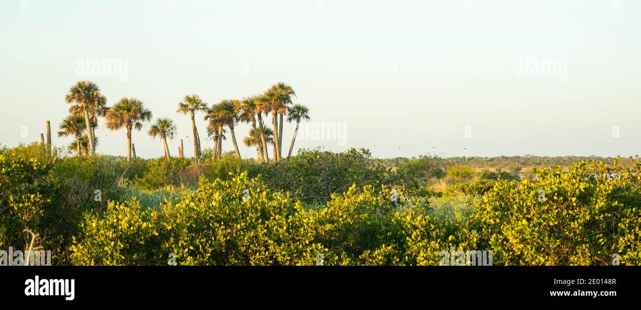 Merritt island hi-res stock photography and images - Alamy