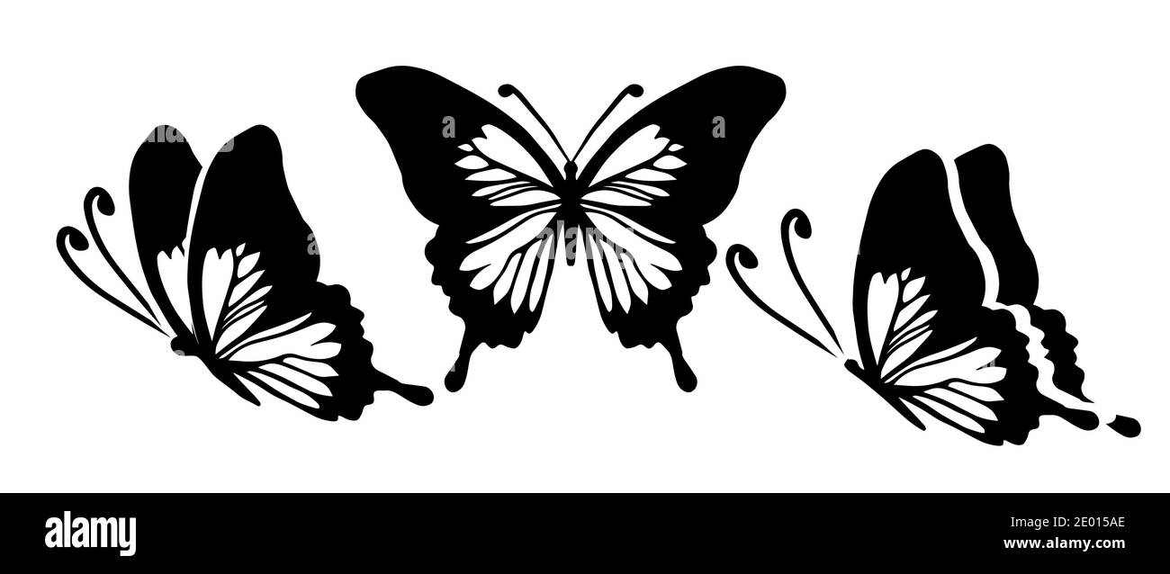 Graphic flying black and white butterflies. Vector illustration