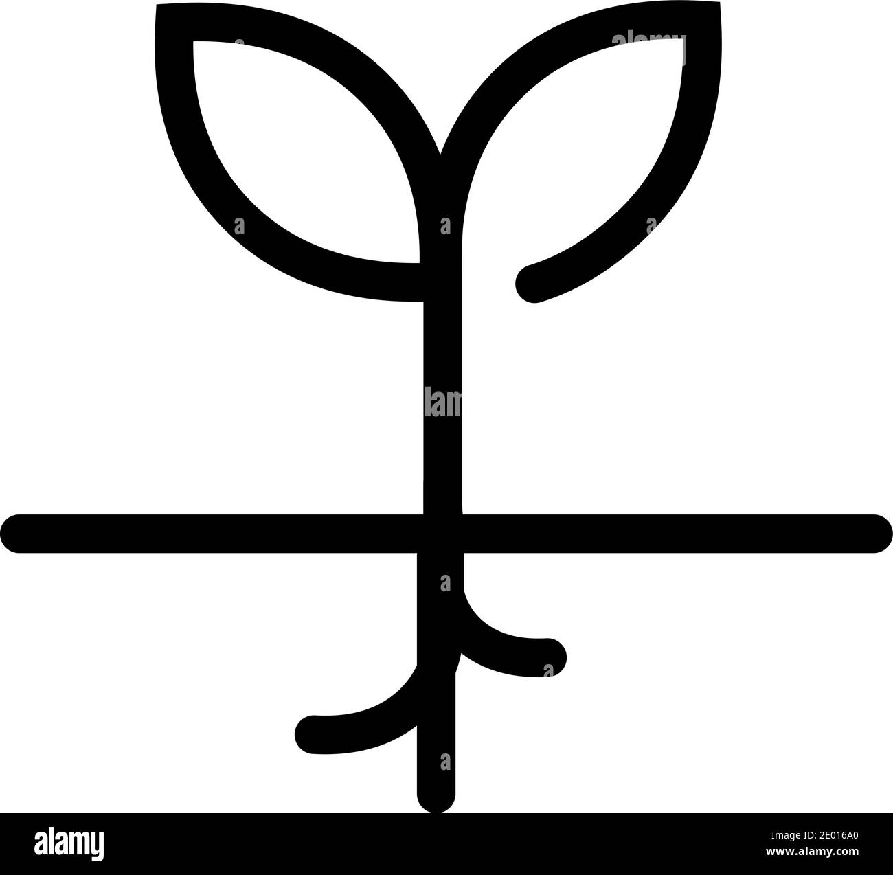 Seedling Germinating Black And White Stock Photos Images Alamy