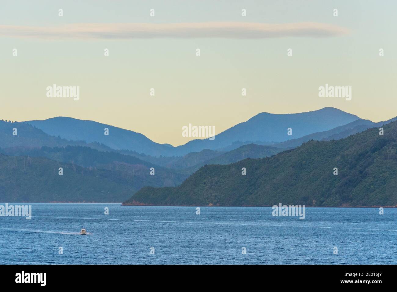 Queen Charlotte sound at South Island of New Zeland Stock Photo Alamy