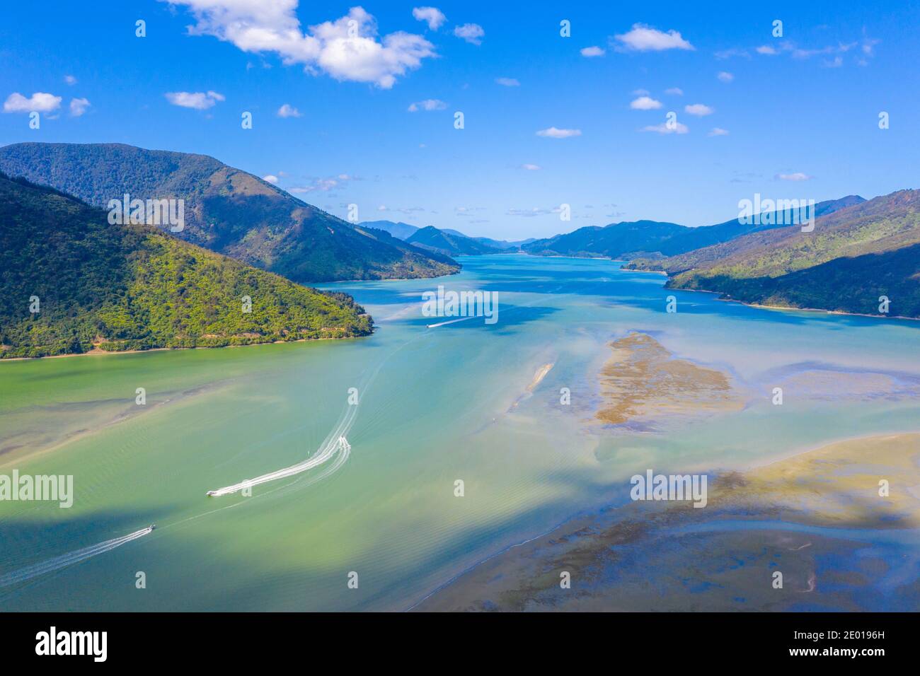 Pelorus sound in New Zealand Stock Photo Alamy