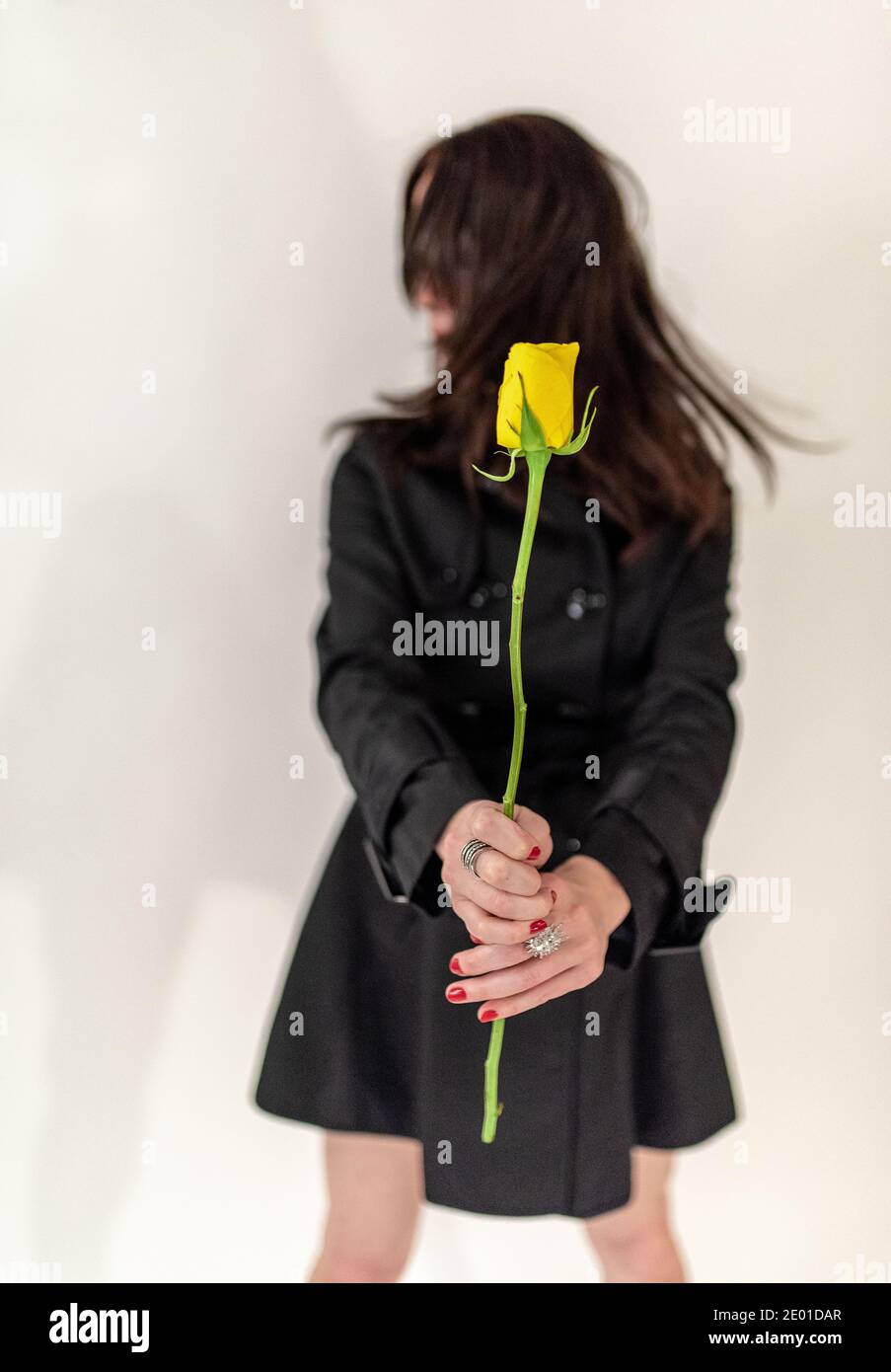 Portrait yellow rose hi-res stock photography and images - Alamy