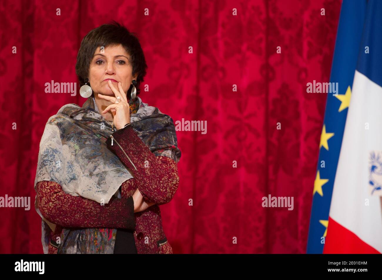 Junior Minister for the Disabled Marie-Arlette Carlotti during the annual awarding ceremony of La Medaille de la Famille Francaise (Medal of the French Family), at the Elysee Palace in Paris, France on November 30, 2013. The award is to honour those who have successfully raised several children with dignity. Photo by Nicolas Gouhier/ABACAPRESS.COM Stock Photo