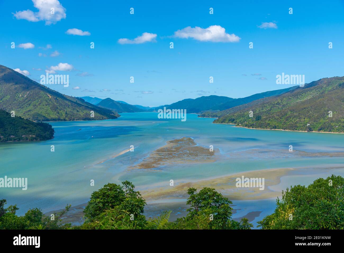 Pelorus sound in New Zealand Stock Photo Alamy