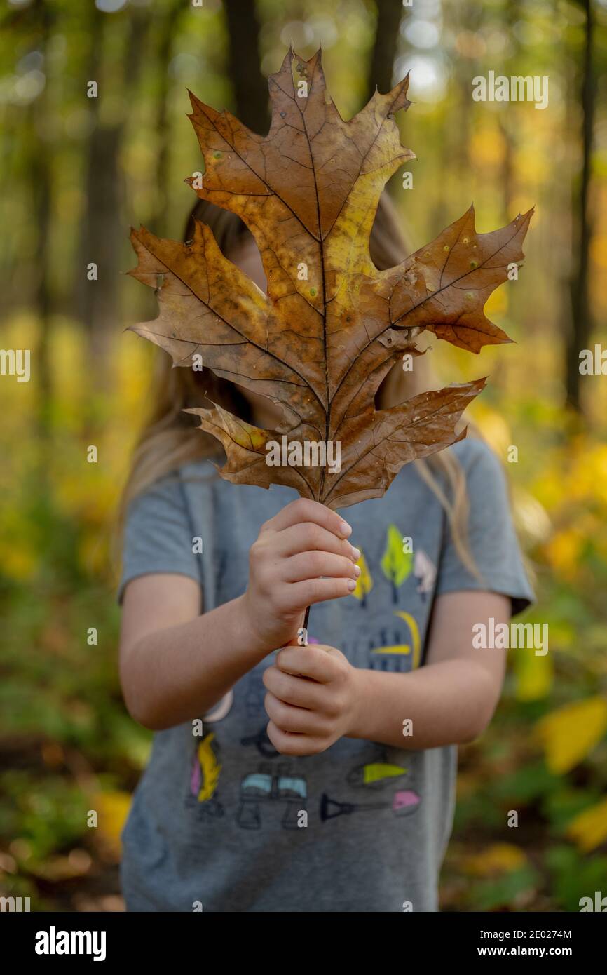 Young Girl Holds Giant Dry Leaf in front of her face Stock Photo - Alamy
