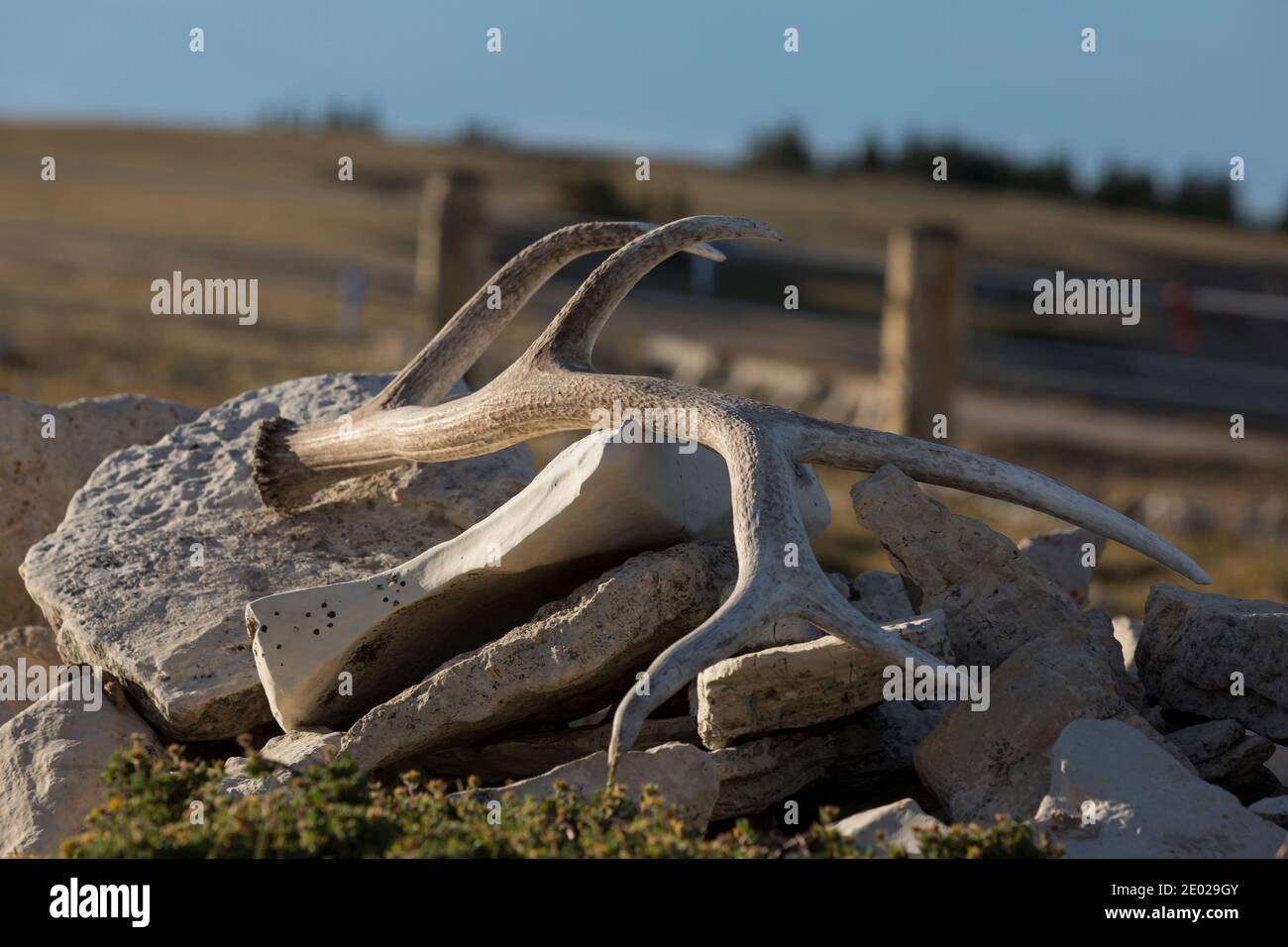Prayer offerings left at the Bighorn Medicine Wheel