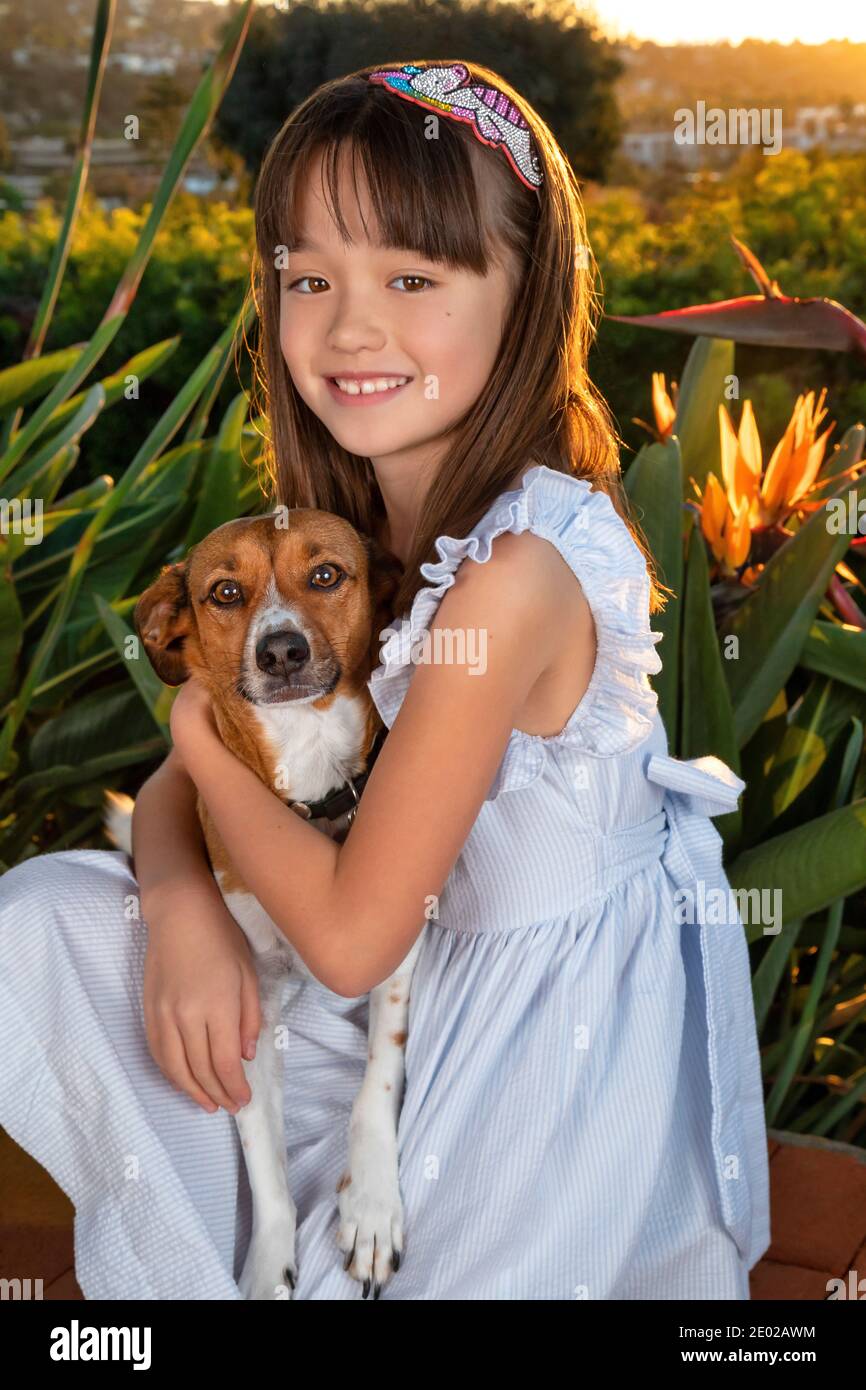 7 year old dog hires stock photography and images Alamy