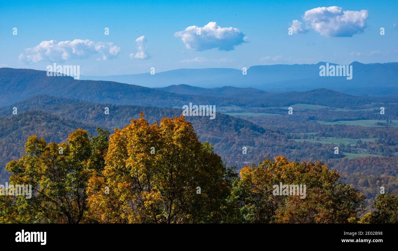 Beautiful Fall Colorful Trees Stock Photo - Alamy