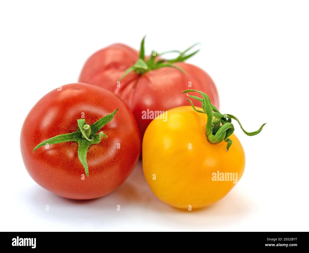 Red and yellow tomatoes against a white background Stock Photo - Alamy