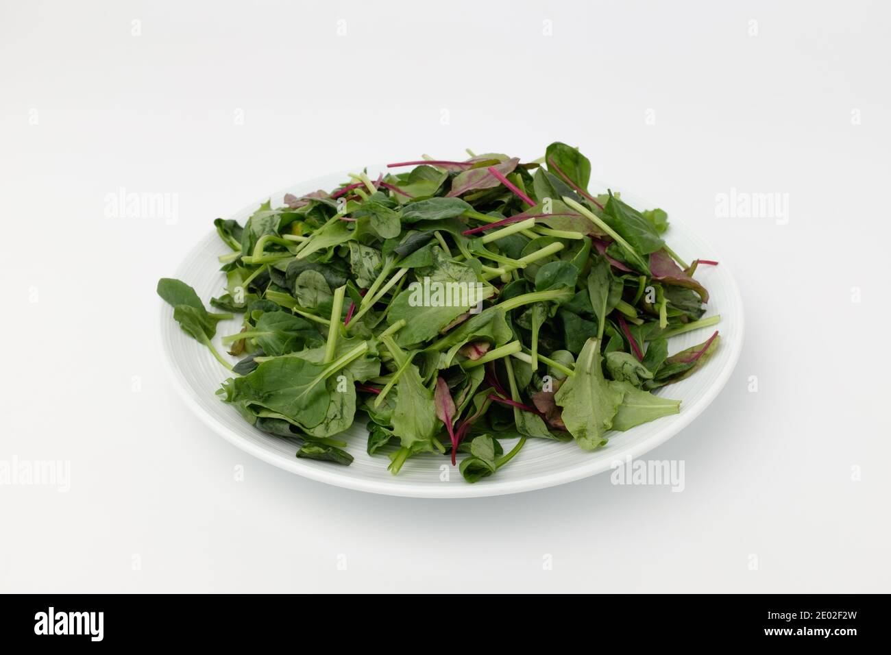 Young leaf vegetable on white background Stock Photo